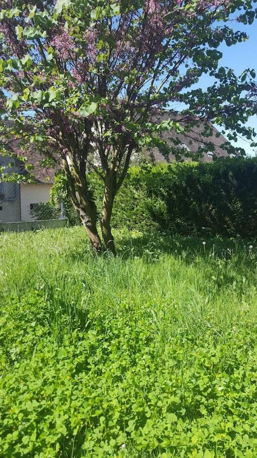 Maison De Campagne A 1H20 De Paris Villa Saint-Hilaire-les-Andresis Exterior foto